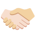 handshake: light skin tone, medium light skin tone