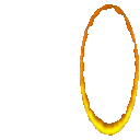 portal orange parrot