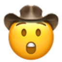 astonished cowboy