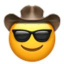 cool cowboy