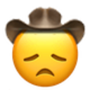 disappointed cowboy