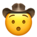 hushed cowboy