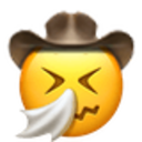 sneezing cowboy