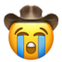 sobbing cowboy