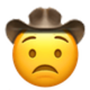 worried cowboy
