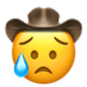 disappointed relieved cowboy