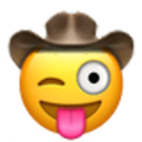 stuck out tongue winking cowboy