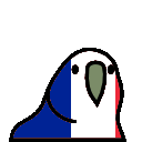 france parrot