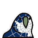 antarctica parrot