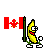 canadianflag bananadance
