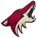 coyotes