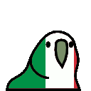 italy parrot