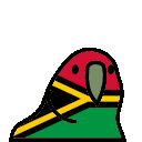 vanuatu parrot
