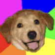 Rainbow Dog emoji