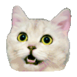 Cat Wave Hi emoji