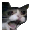 Crying Cat Screaming emoji