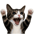 Hype emoji