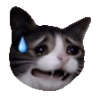 Oops emoji