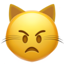 angry cat