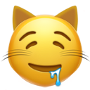 drooling cat face