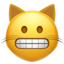 grimacing cat