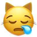 sleepy cat