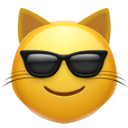 sunglasses cat