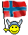 viking flag