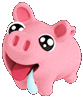 pig drool