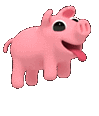 pig happy jumping