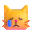 crying cat